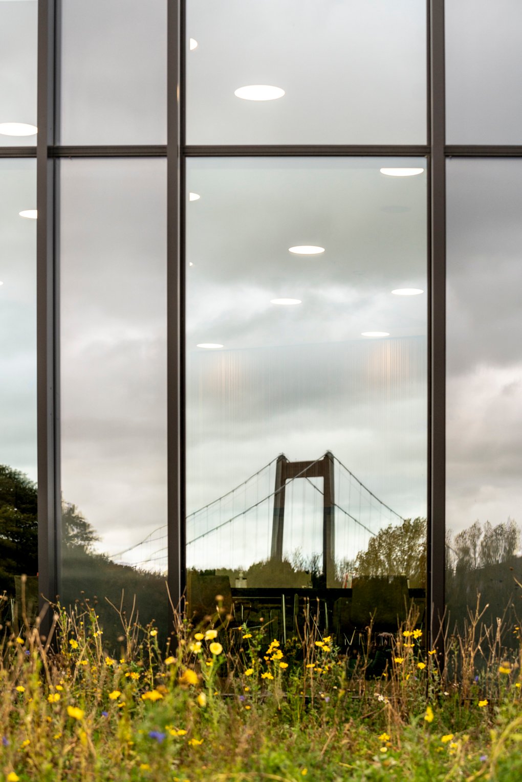 DLG_bygning_-_web_-_Fotograf_Per_Bille-20201022-09657