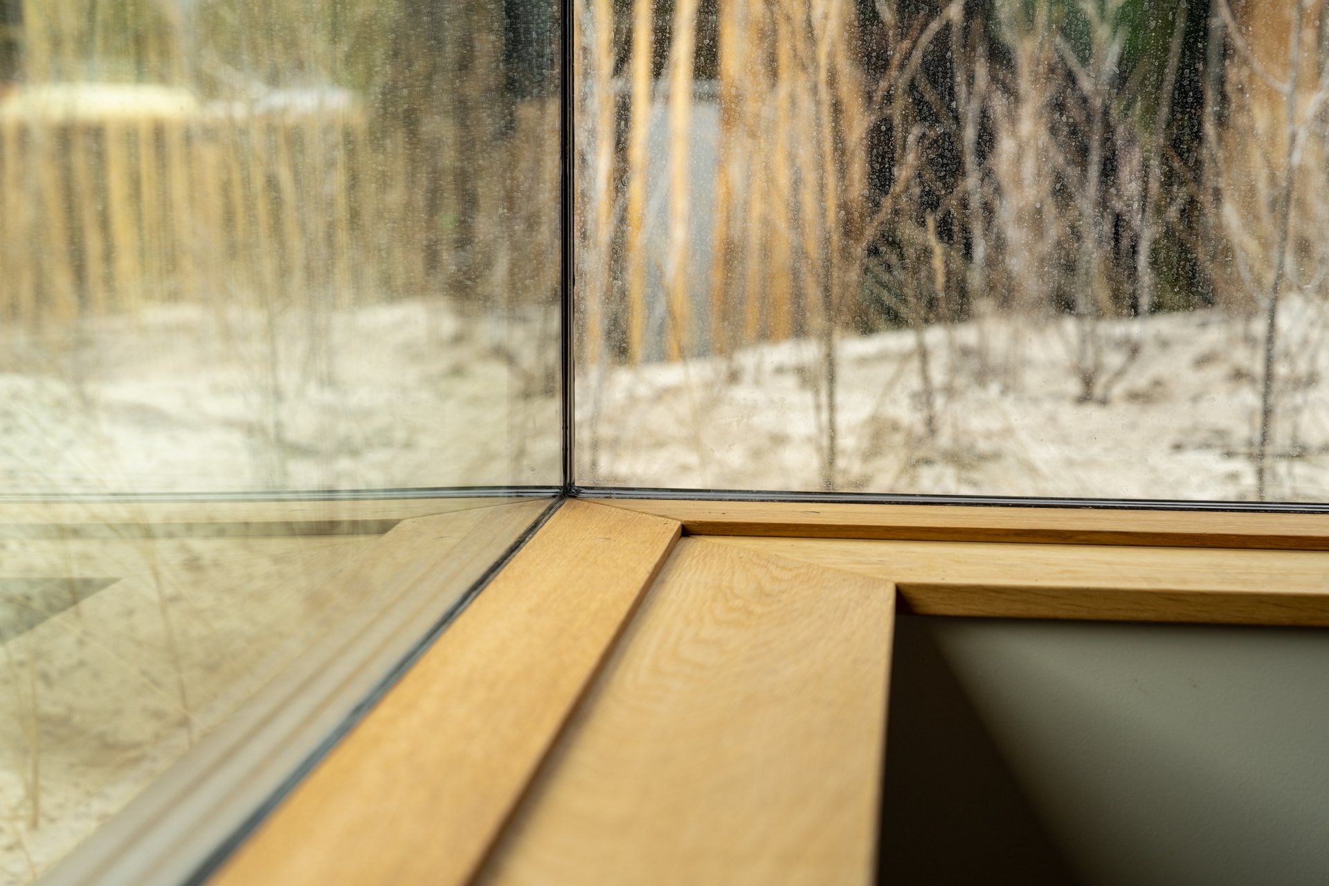 Hvidbjerg Strand, Kronevinduer-web - Fotograf_Per_Bille-20230523DSC08816