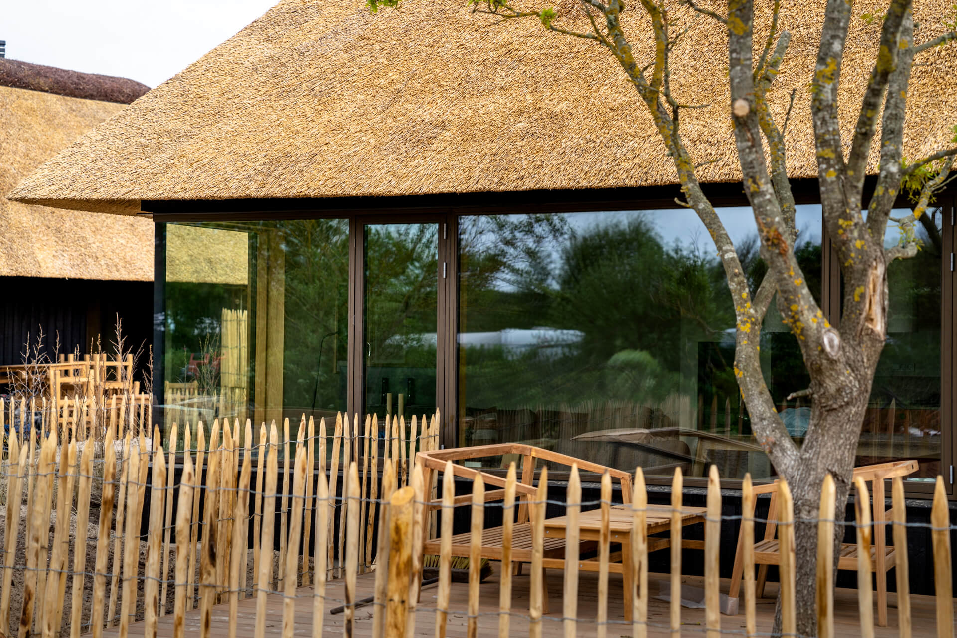 Hvidbjerg_Strand__Kronevinduer-web_-_Fotograf_Per_Bille-20230523DSC08720-1