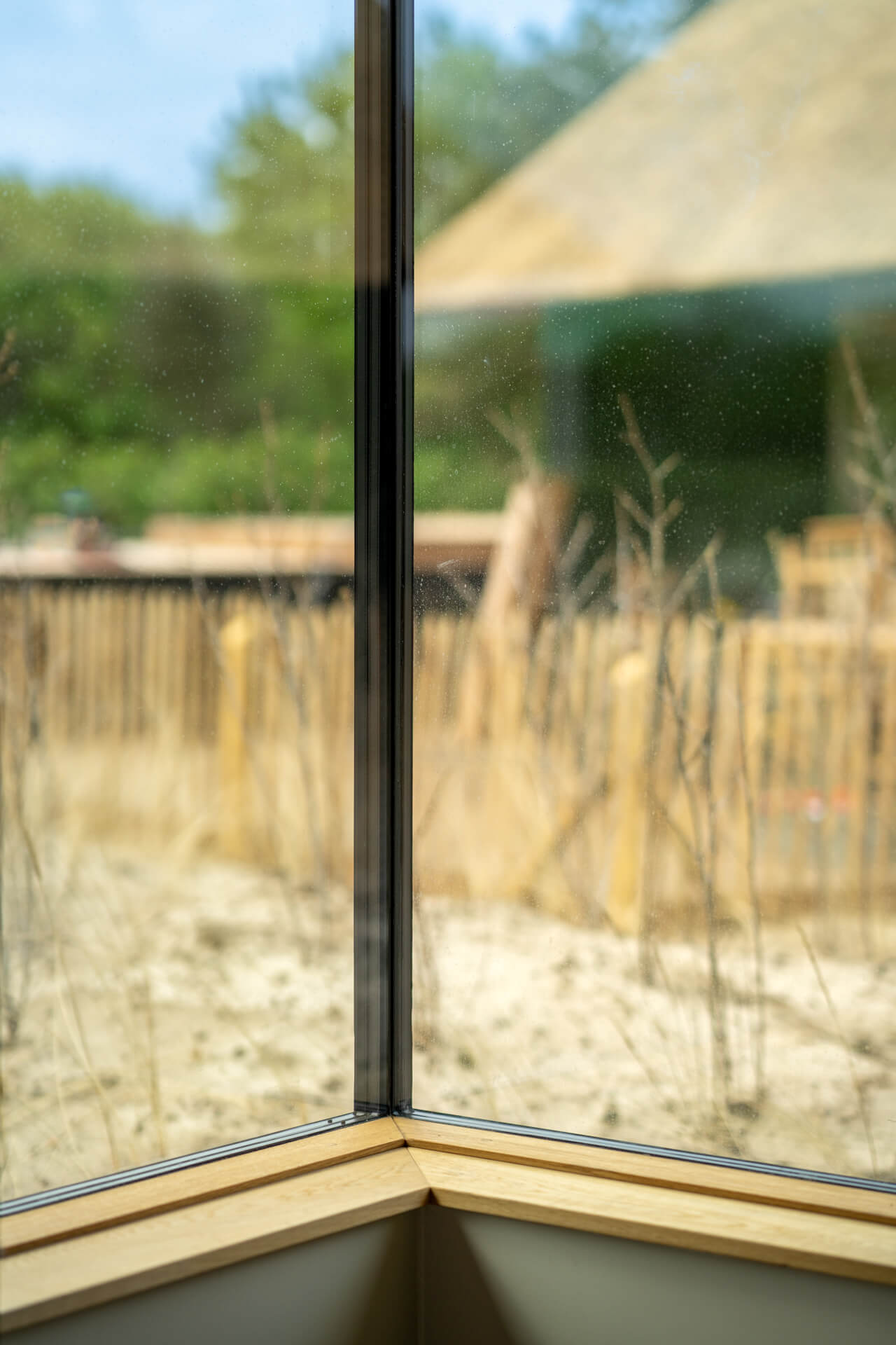 Hvidbjerg_Strand__Kronevinduer-web_-_Fotograf_Per_Bille-20230523DSC08860-1