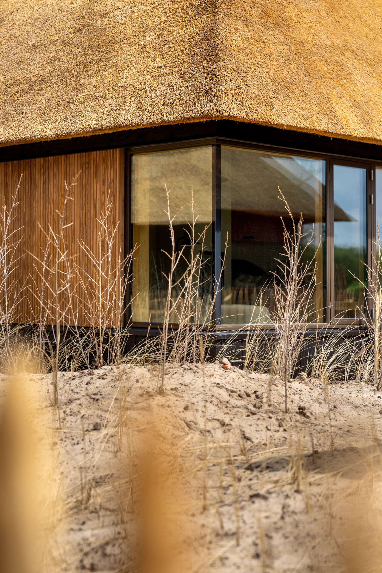 Hvidbjerg_Strand__Kronevinduer-web_-_Fotograf_Per_Bille-20230523DSC08996-1