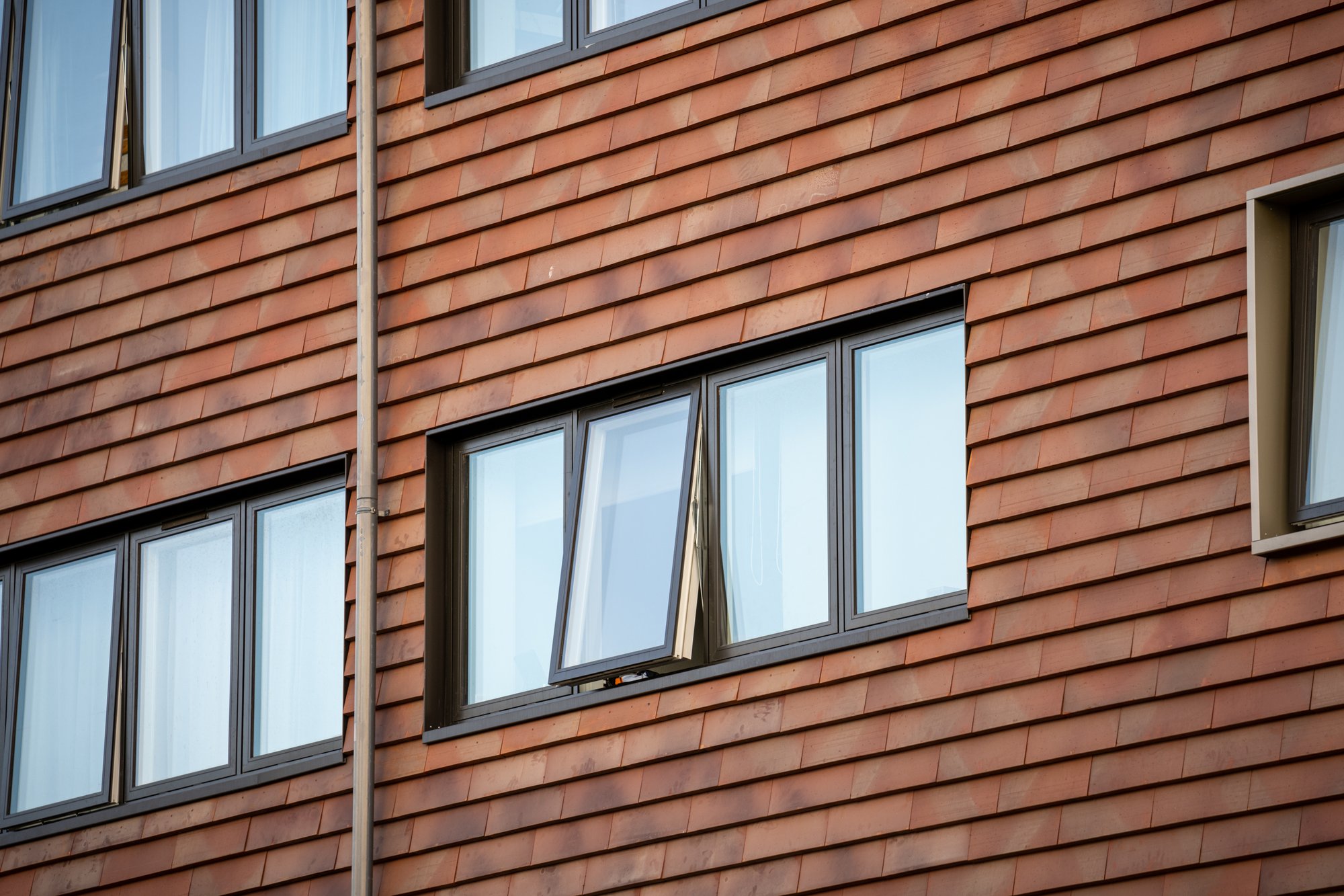 Kronevinduer Roskilde-web - Fotograf Per Bille-220919-DSC05680