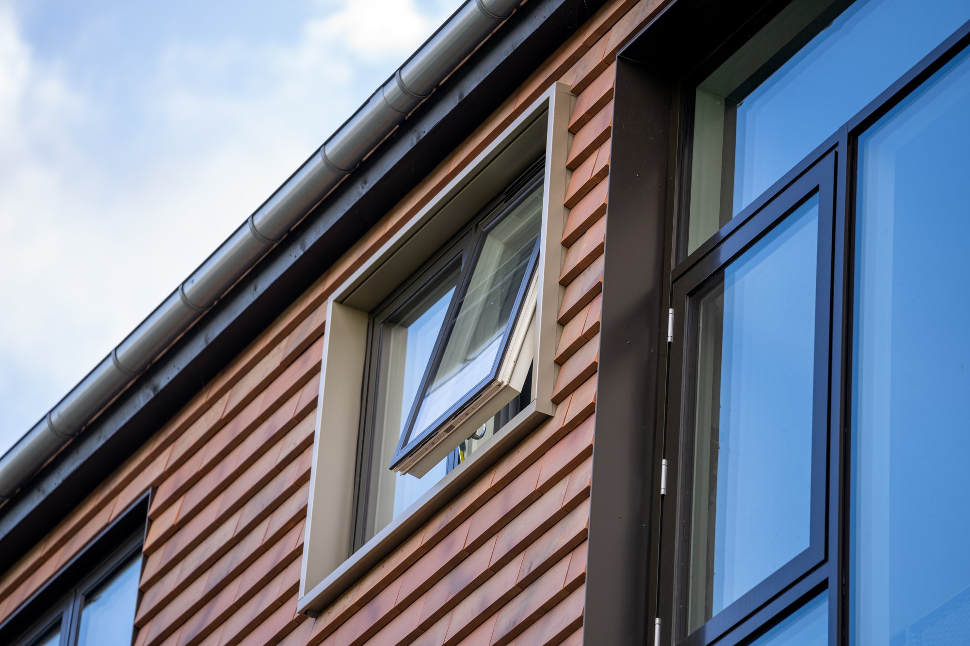 Kronevinduer Roskilde-web - Fotograf Per Bille-220919-DSC05715