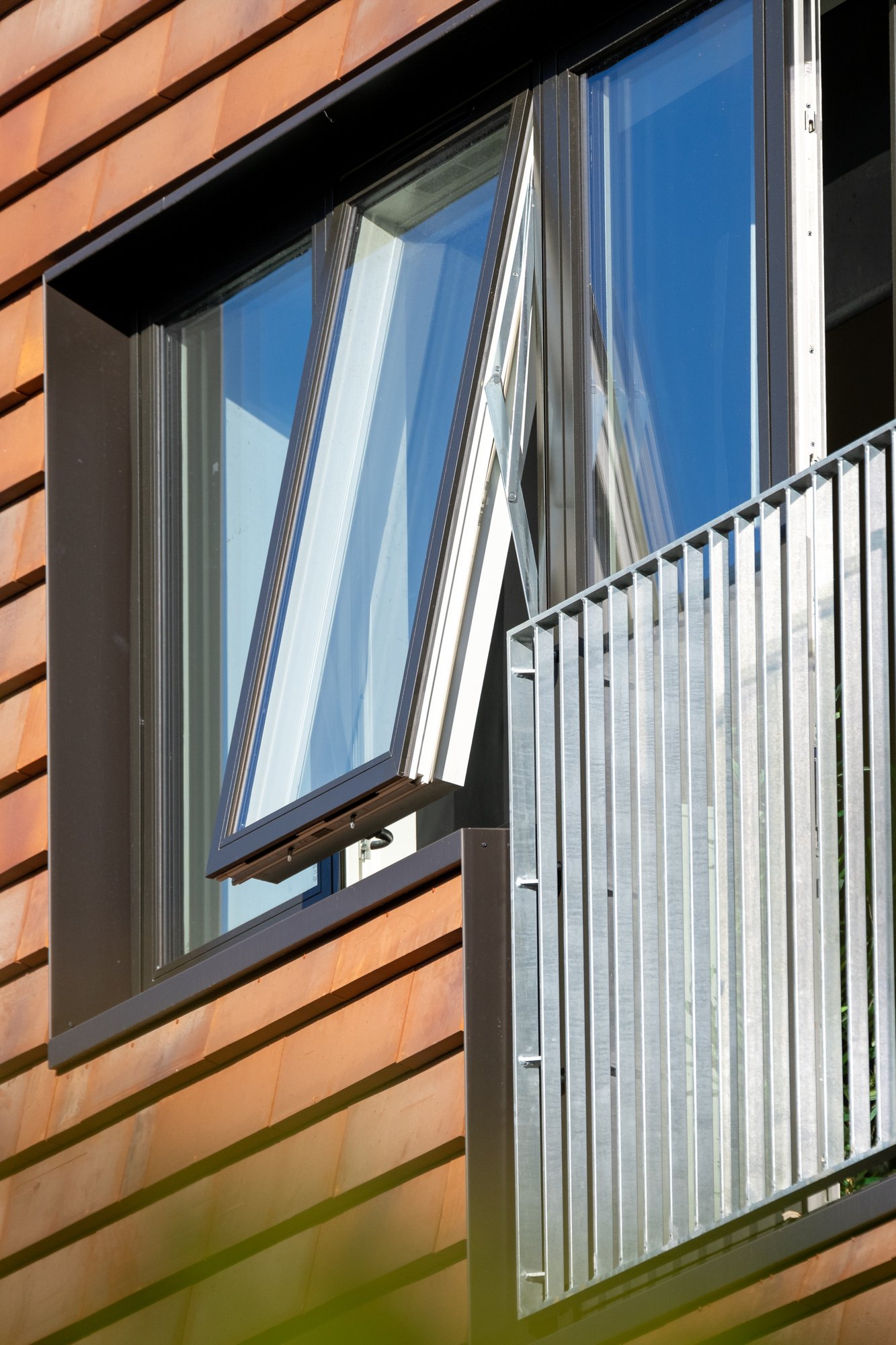 Kronevinduer Roskilde-web - Fotograf Per Bille-220919-DSC05740