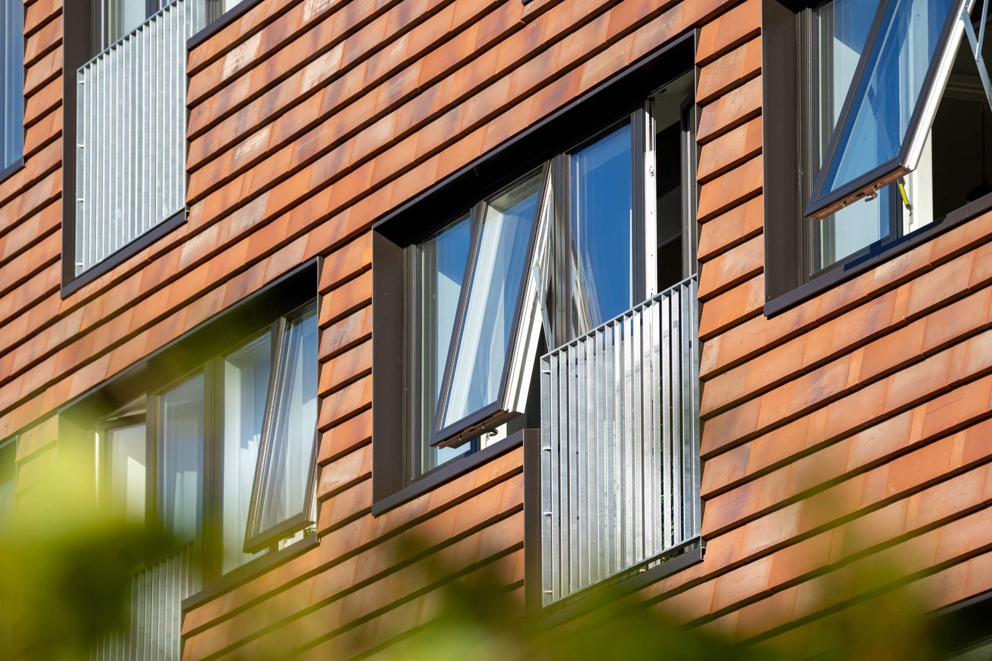 Kronevinduer Roskilde-web - Fotograf Per Bille-220919-DSC05747