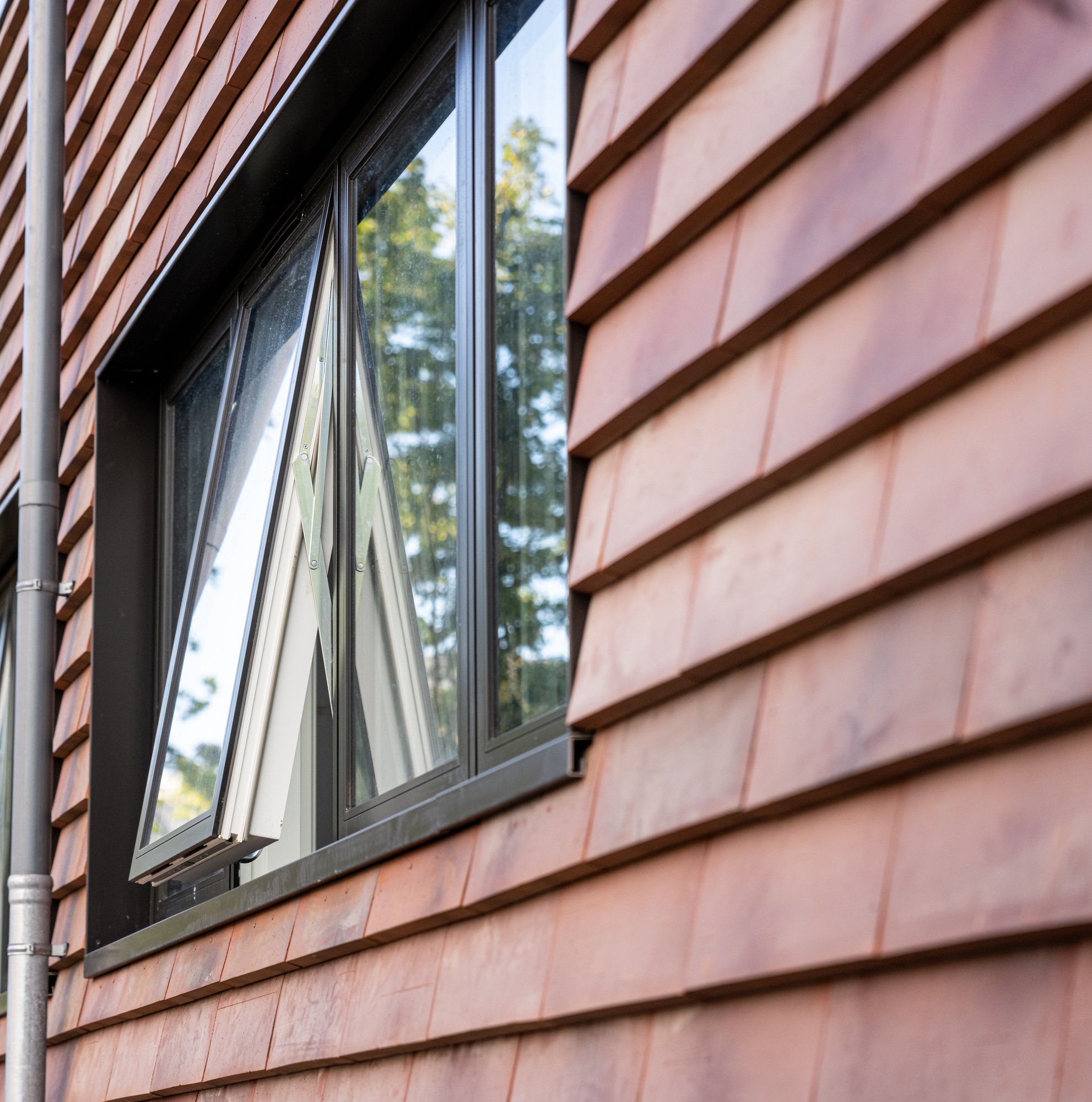 Kronevinduer Roskilde-web - Fotograf Per Bille-220919-DSC05782