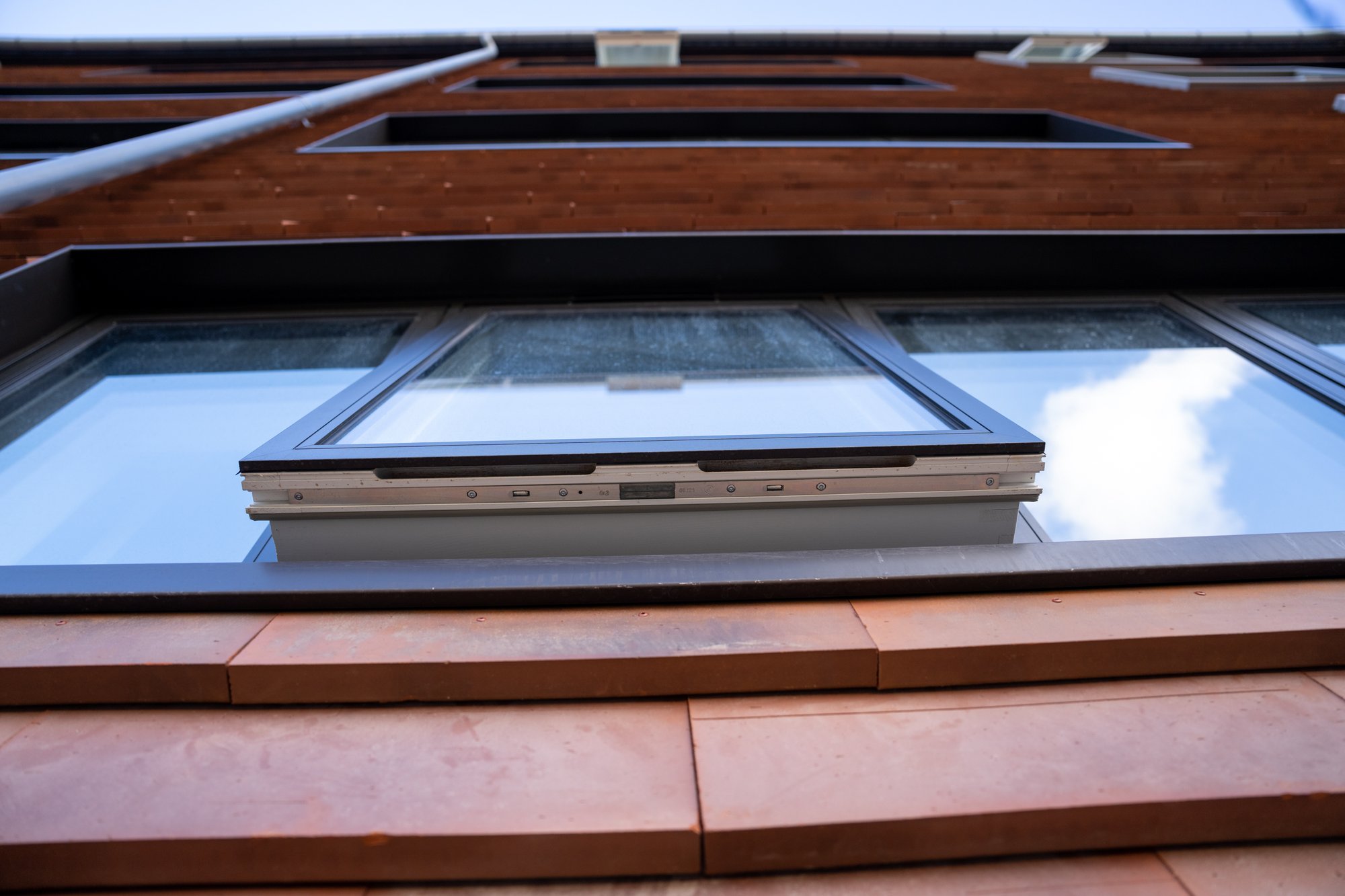 Kronevinduer Roskilde-web - Fotograf Per Bille-220919-DSC05787