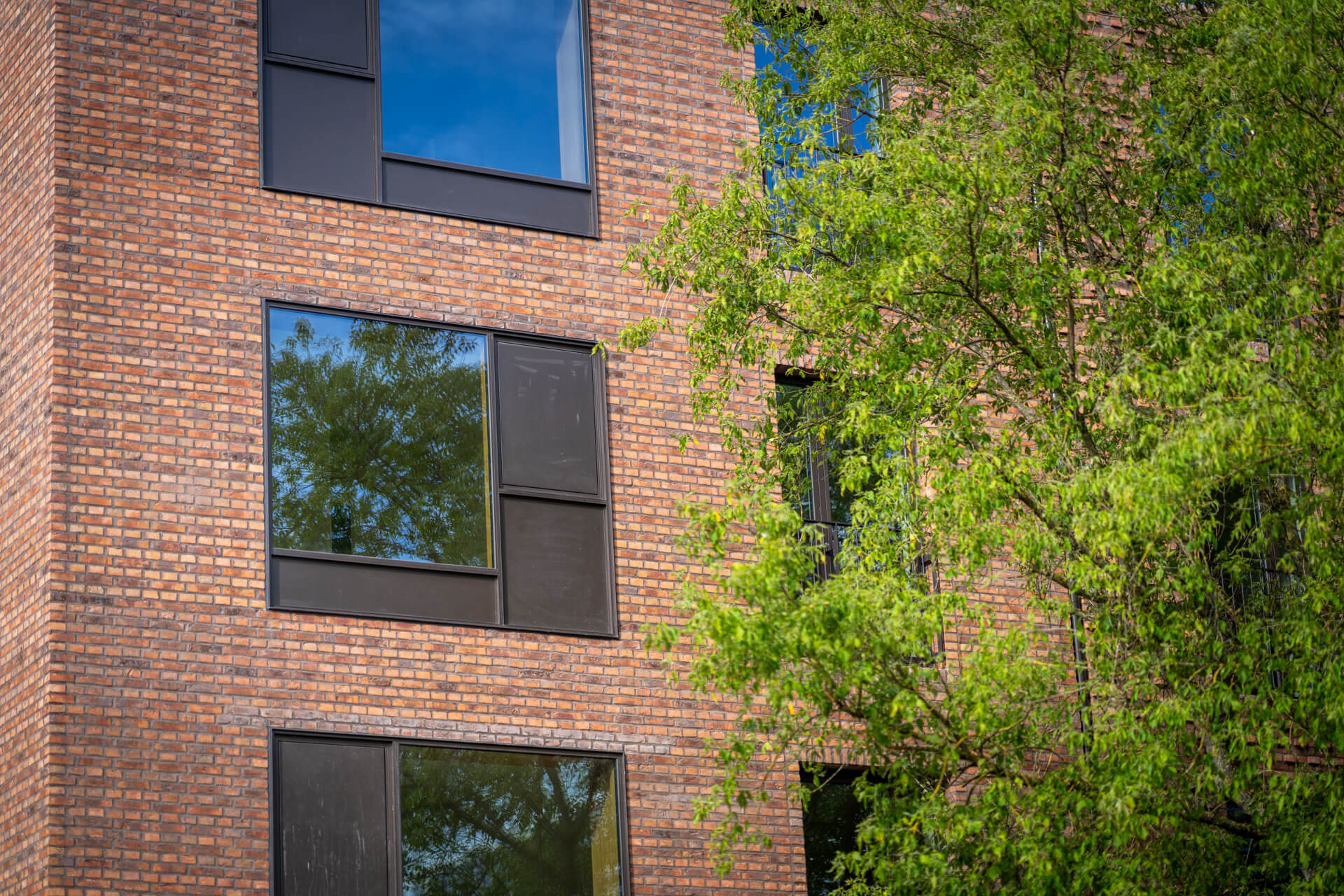 Kronevinduer--_web_-Fotograf_Per_Bille-20230615DSC03903