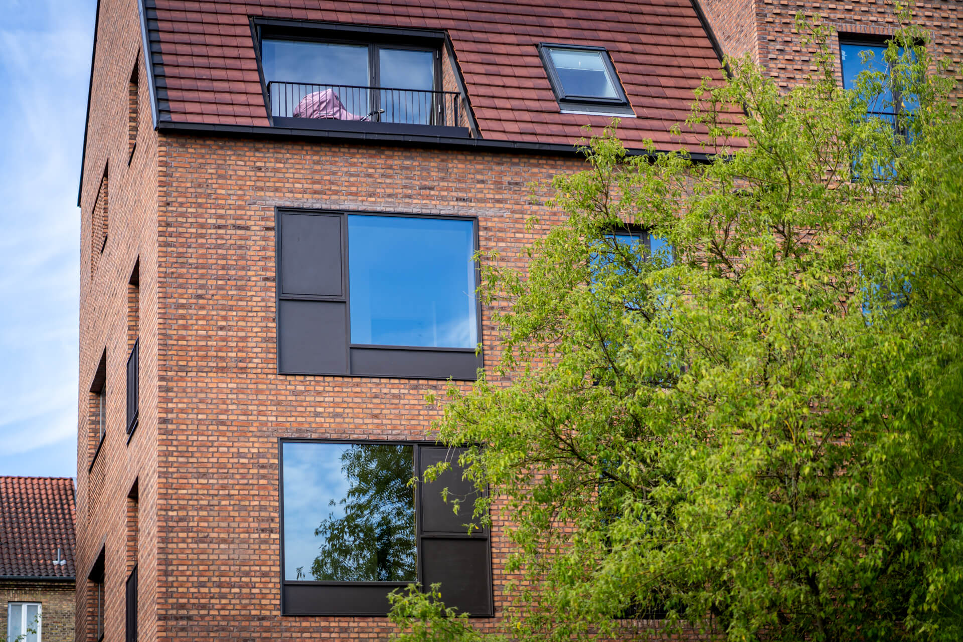 Kronevinduer--_web_-Fotograf_Per_Bille-20230615DSC03911