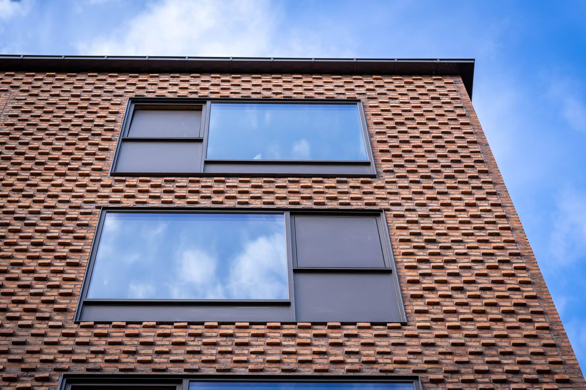 Kronevinduer--_web_-Fotograf_Per_Bille-20230615DSC03968