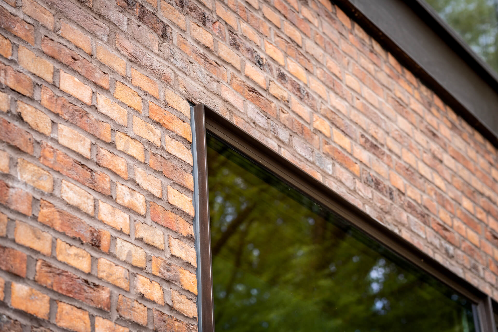 Kronevinduer--_web_-Fotograf_Per_Bille-20230615DSC04419