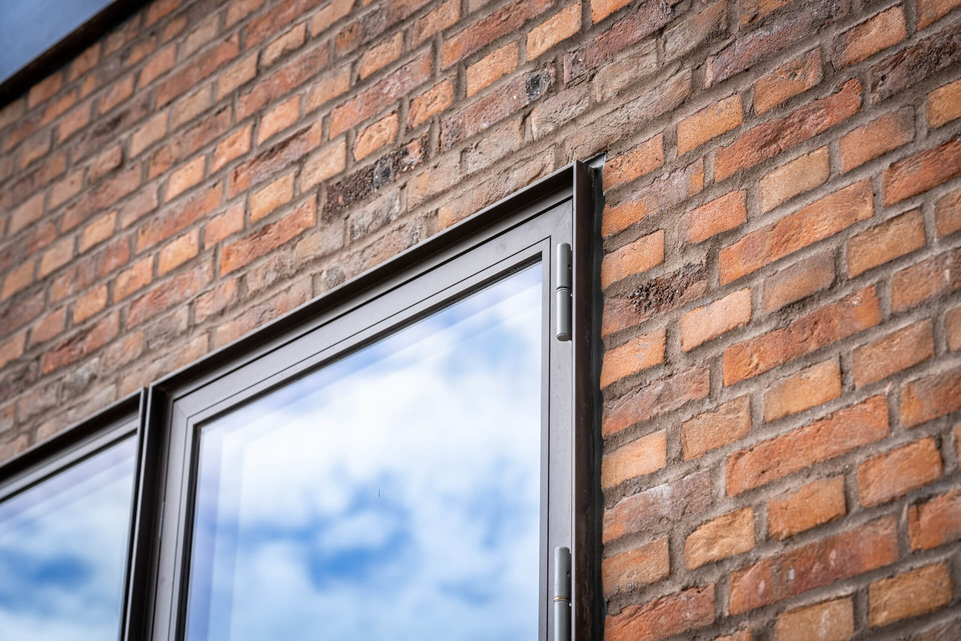 Kronevinduer--_web_-Fotograf_Per_Bille-20230615DSC04424