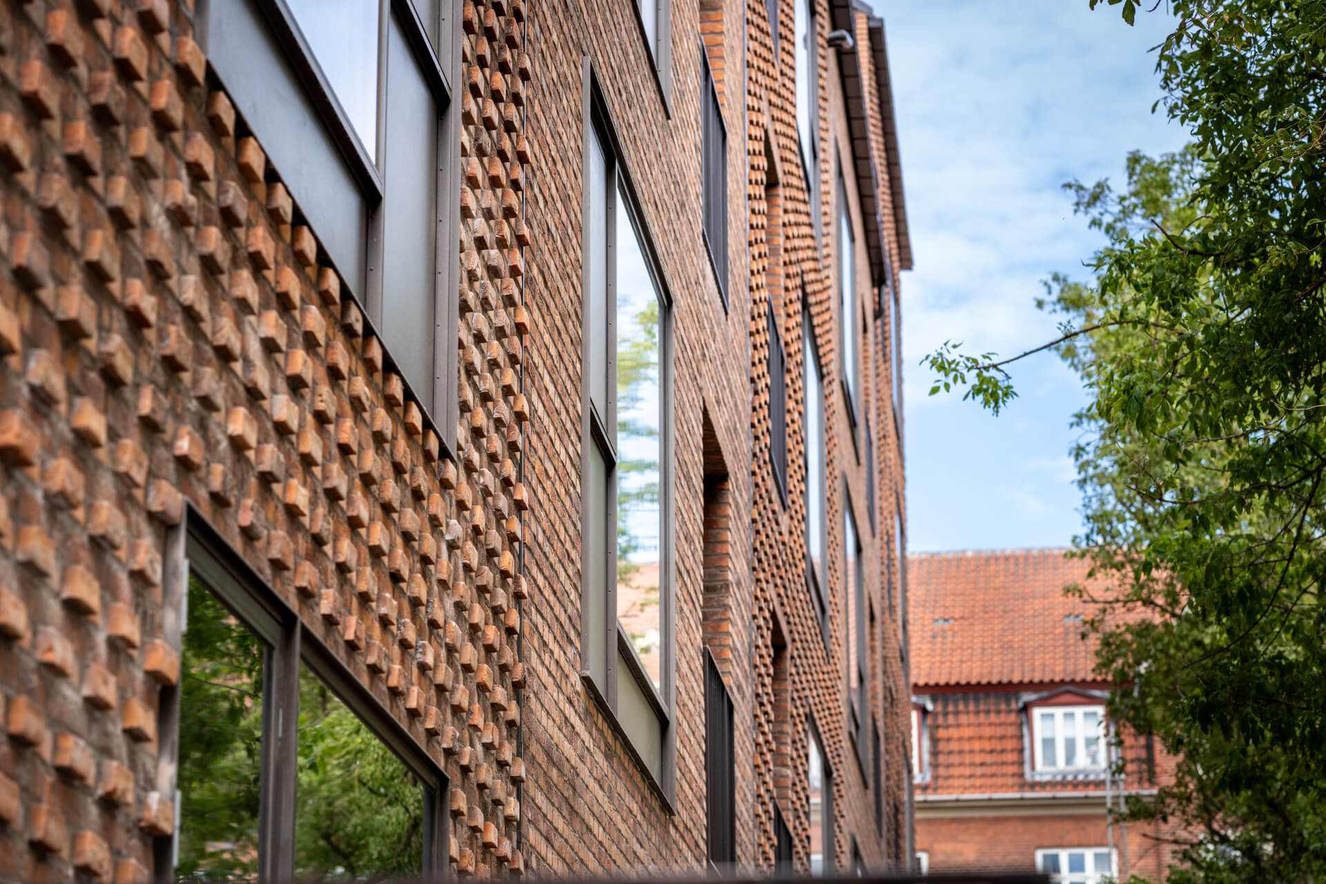 Kronevinduer--_web_-Fotograf_Per_Bille-20230615DSC04427_-_Kopi