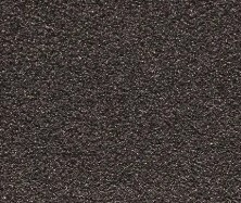 Sable Noir 2100 - web