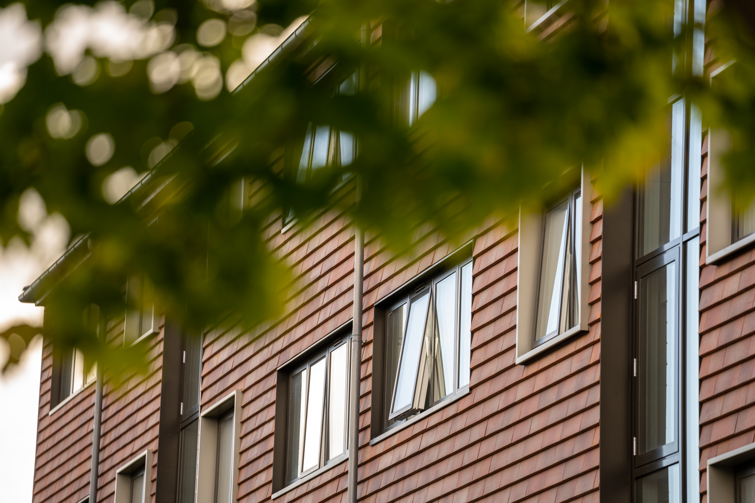 Kronevinduer Roskilde-web - Fotograf Per Bille-220919-DSC05689