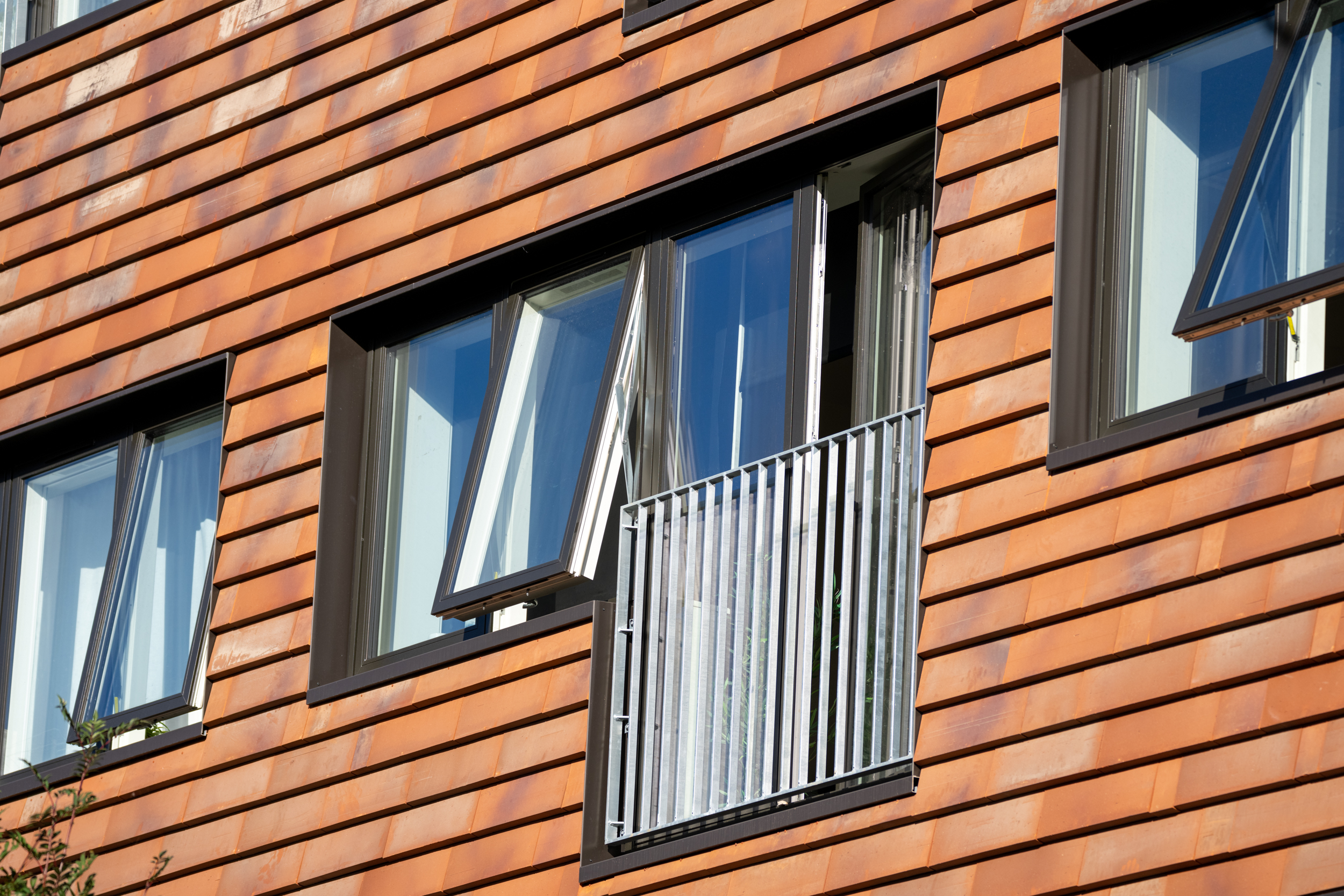 Kronevinduer Roskilde-web - Fotograf Per Bille-220919-DSC05723