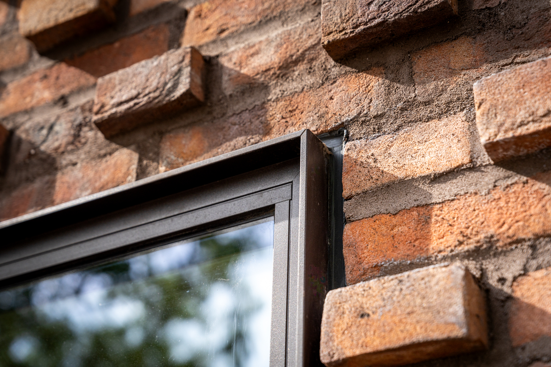 Kronevinduer-- web -Fotograf_Per_Bille-20230615DSC04170