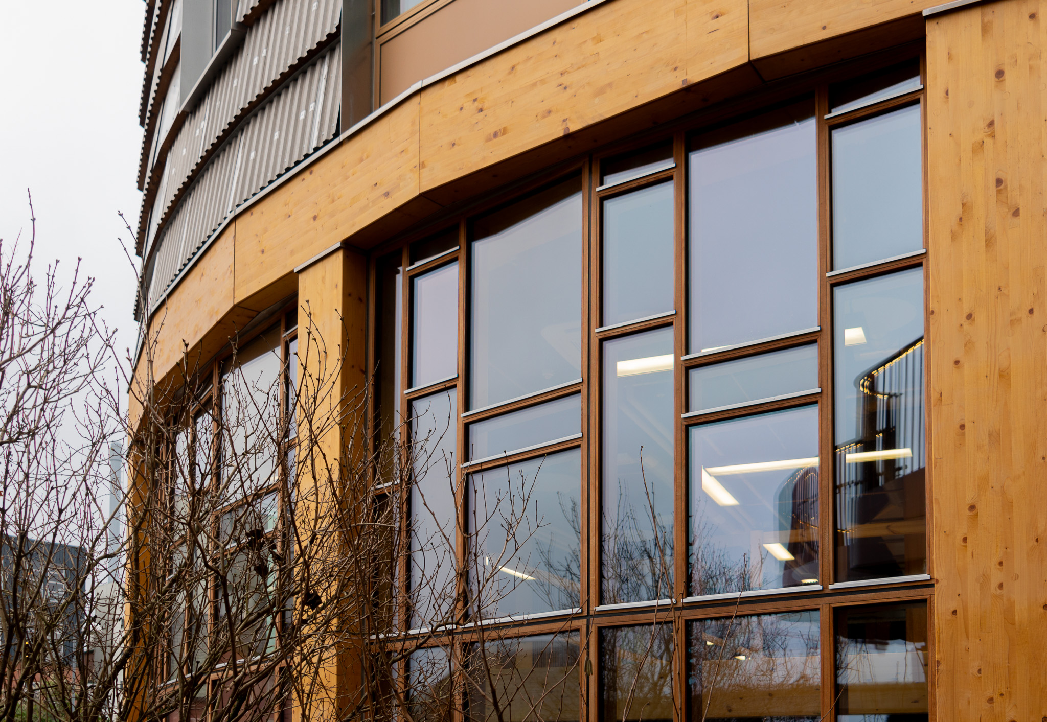 TRÆ_Viddø_241128_edited_small_MB (15)