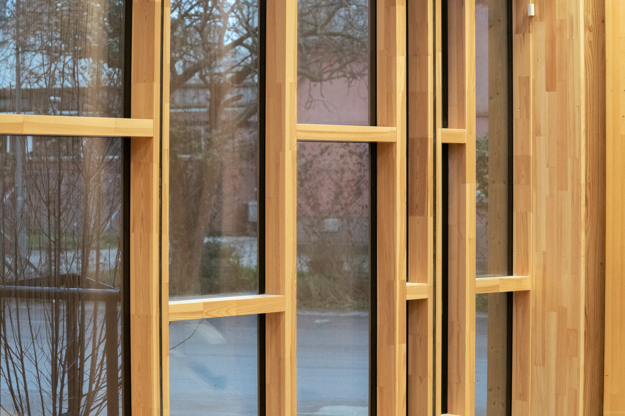 TRÆ_Viddø_241128_edited_small_MB (20)